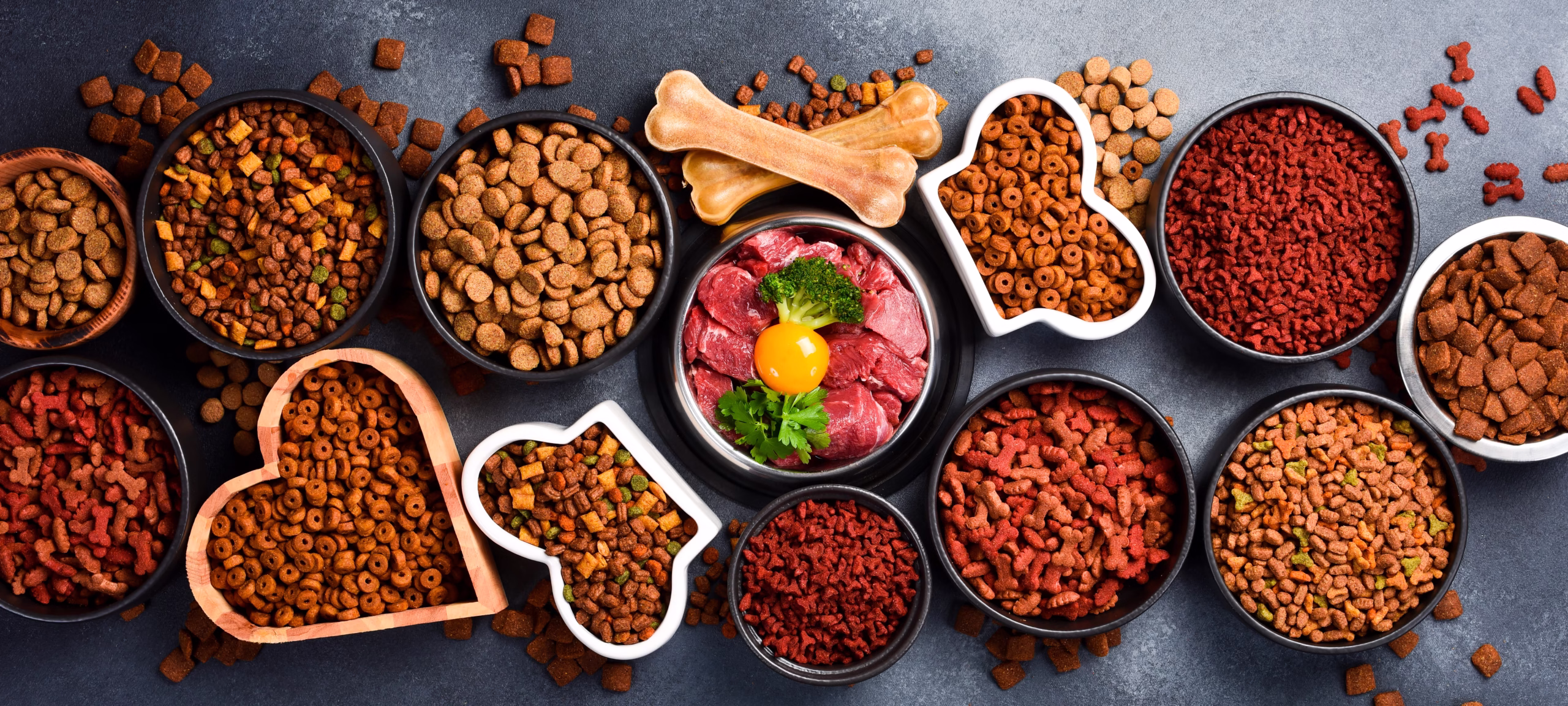 Futterumstellung bei Hunden: Schritt-für-Schritt-Anleitung