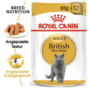 Katzenfutter: ROYAL CANIN British Shorthair Adult in Soße 