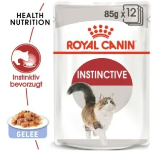 Katzenfutter: ROYAL CANIN Instinctive Adult in Gelee 