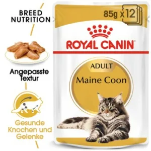 Katzenfutter: ROYAL CANIN Maine Coon Adult in Soße 