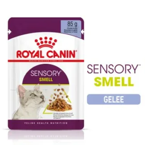 Katzenfutter: ROYAL CANIN SENSORY Smell in Gelee für wählerische Katzen 