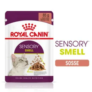 Katzenfutter: ROYAL CANIN Sensory Smell in Soße für wählerische Katzen 