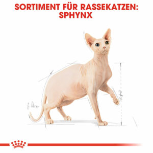 Katzenfutter: ROYAL CANIN Sphynx Adult 