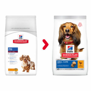 Hundefutter: Hill's Science Plan Oral Care Adult, mit Huhn 