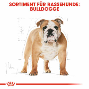 Hundefutter: ROYAL CANIN Bulldog Adult 