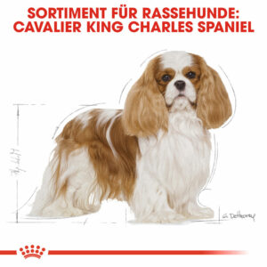 Hundefutter: ROYAL CANIN Cavalier King Charles Adult 