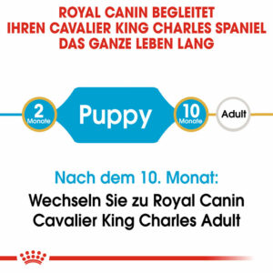 Hundefutter: ROYAL CANIN Cavalier King Charles Puppy 