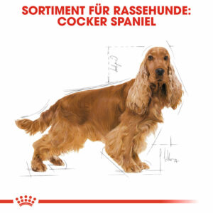 Hundefutter: ROYAL CANIN Cocker Adult 